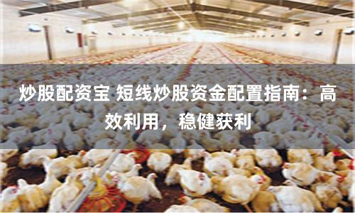 炒股配资宝 短线炒股资金配置指南：高效利用，稳健获利